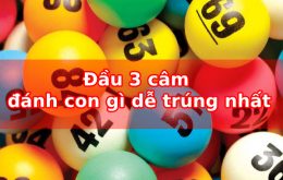 Đầu 3 câm đánh con gì dễ trúng nhất?